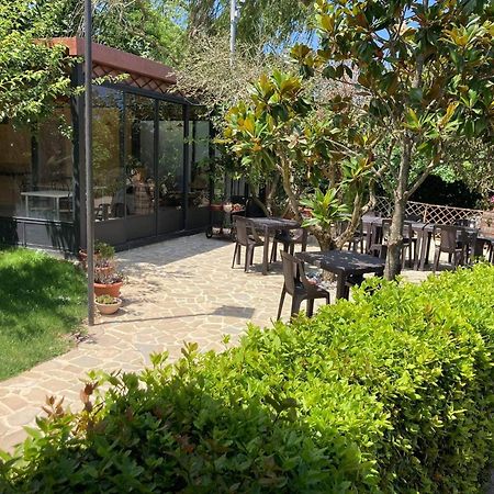 B&B Madonna Carradori Offagna Eksteriør billede